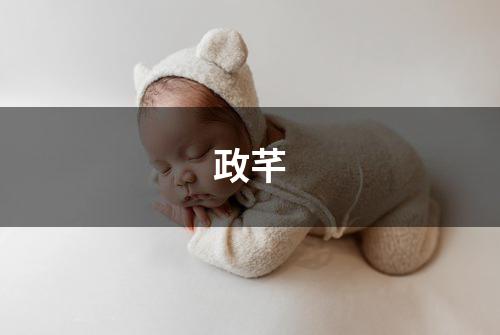 政芊