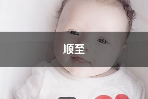 顺至