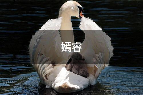 嫣睿