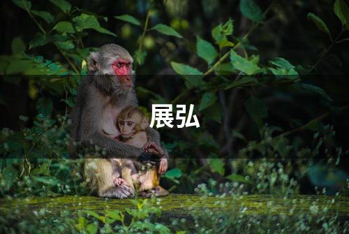 展弘