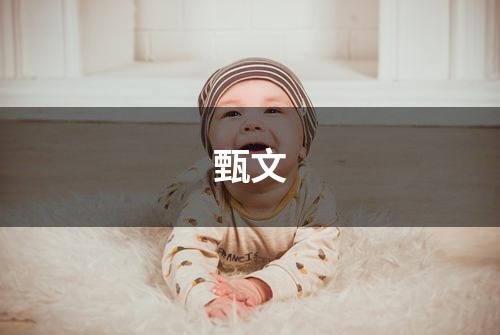甄文