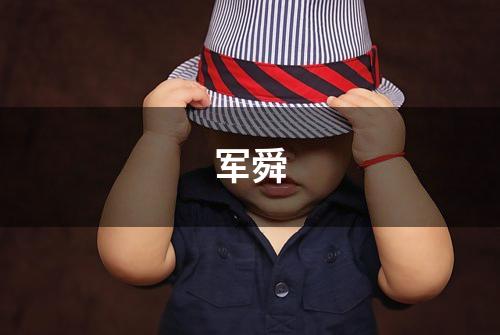 军舜
