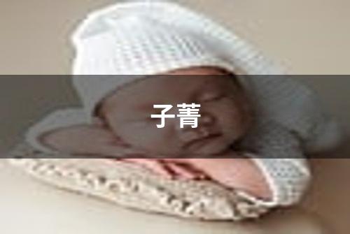 子菁
