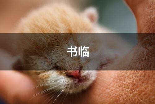 书临