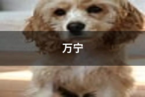 万宁