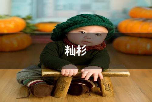 籼杉