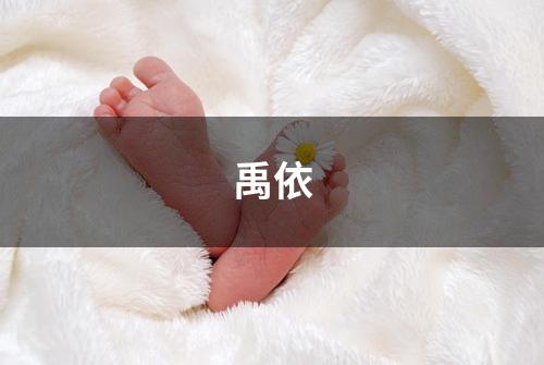 禹依