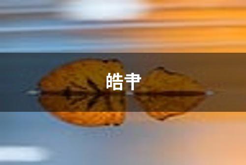 皓肀