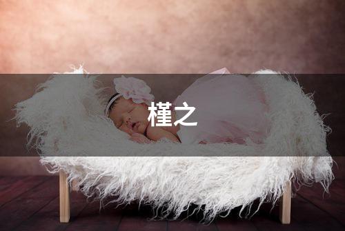 槿之