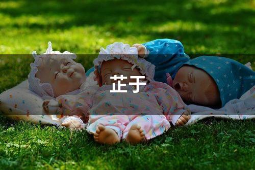 芷于