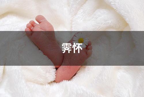 霁怀