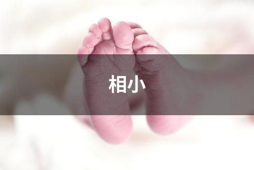 相小
