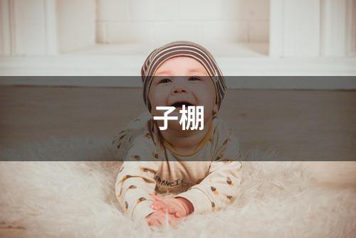 子棚