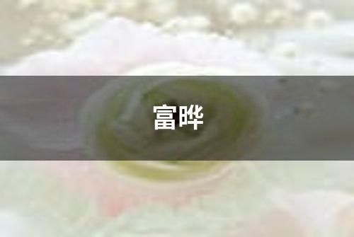 富晔
