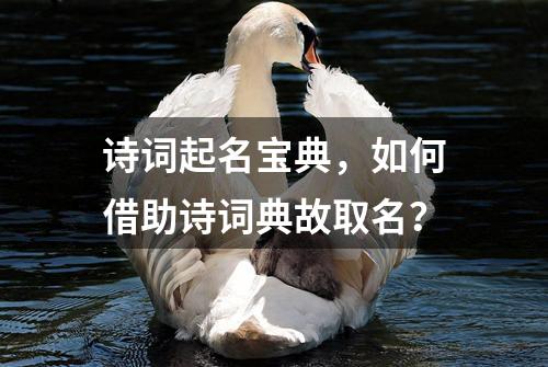 诗词起名宝典，如何借助诗词典故取名？