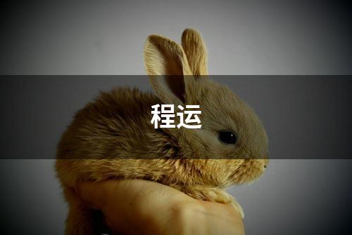 程运