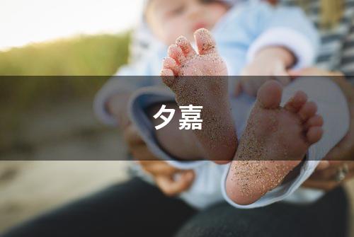 夕嘉