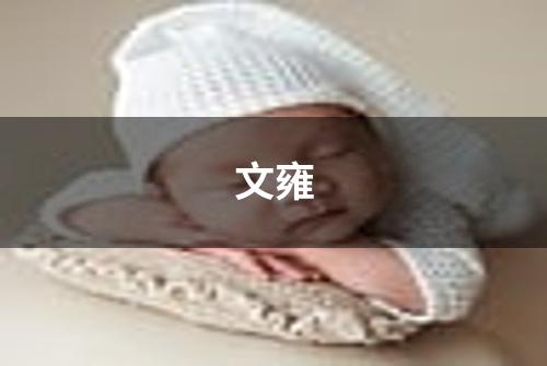 文雍
