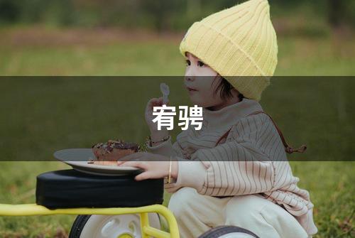 宥骋
