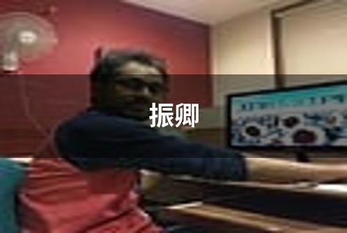 振卿