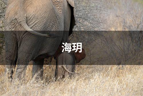 海玥
