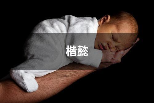 楷懿