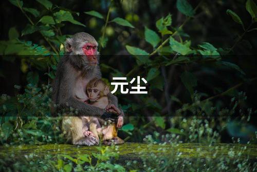 元尘