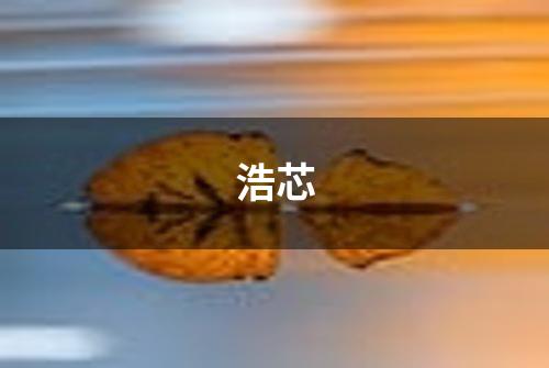 浩芯