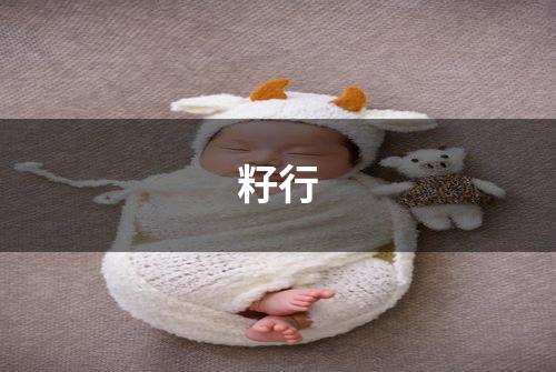 籽行