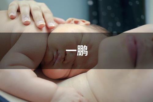 一鹏