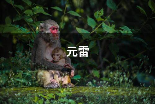 元雷