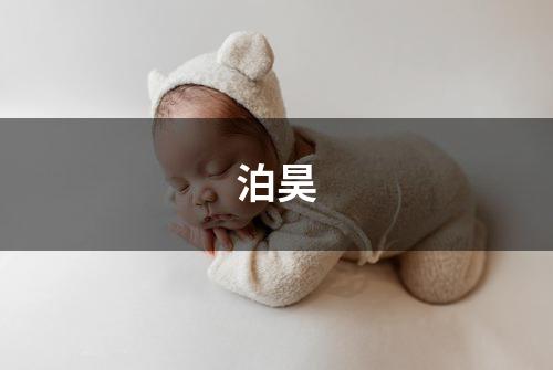 泊昊
