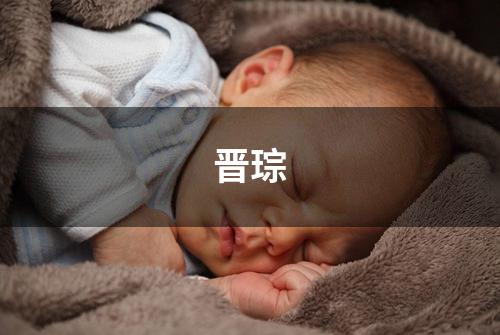 晋琮