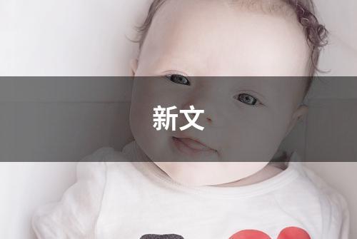 新文