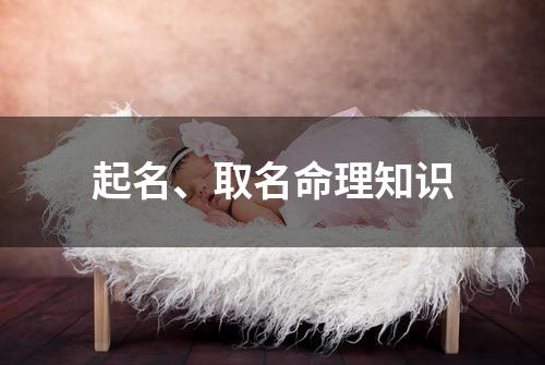 起名、取名命理知识