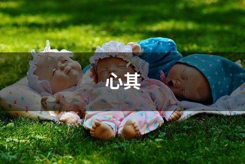 心其