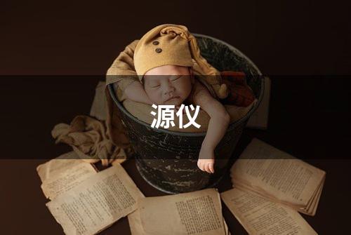 源仪