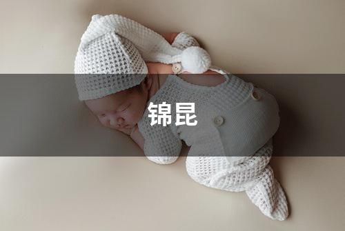 锦昆
