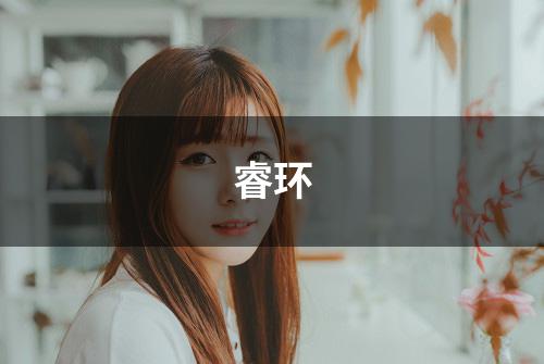 睿环