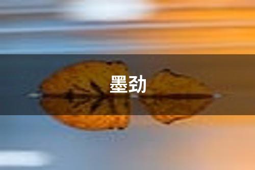 墨劲