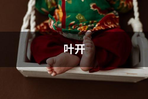 叶开