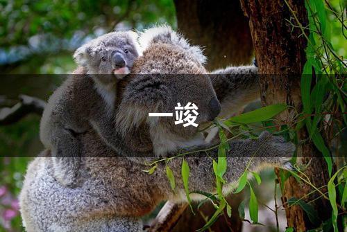 一竣
