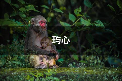 玙心
