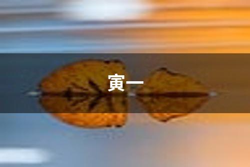 寅一