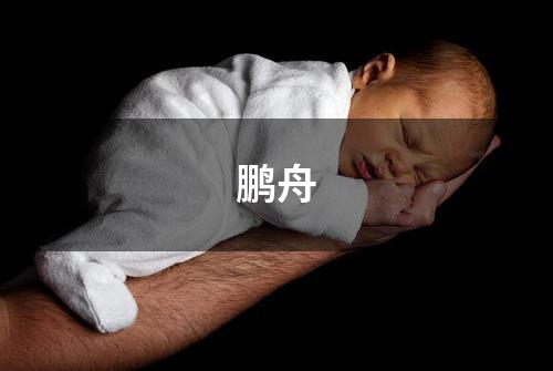 鹏舟