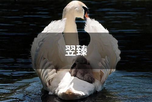 翌臻