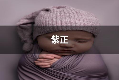 紫正