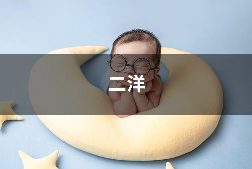二洋
