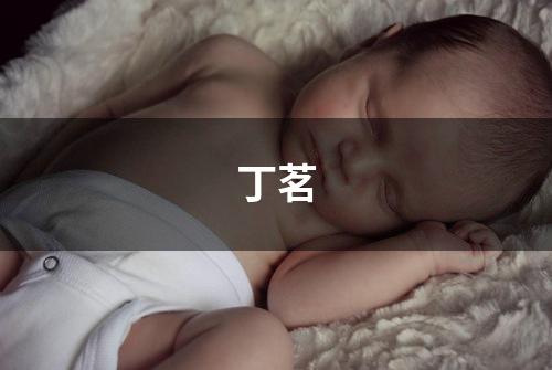 丁茗