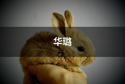 华璐